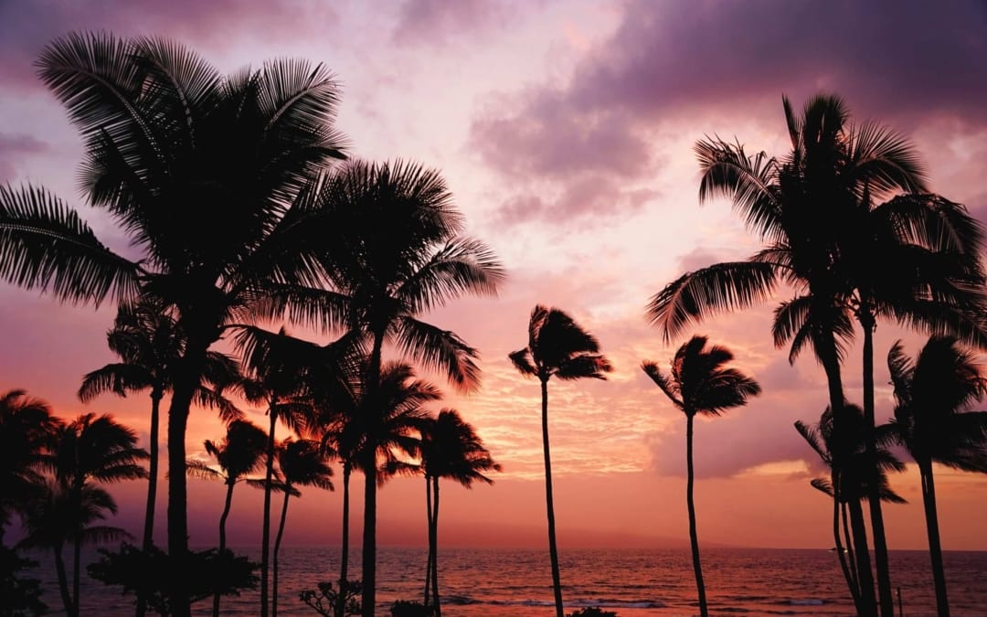 Geist von Aloha