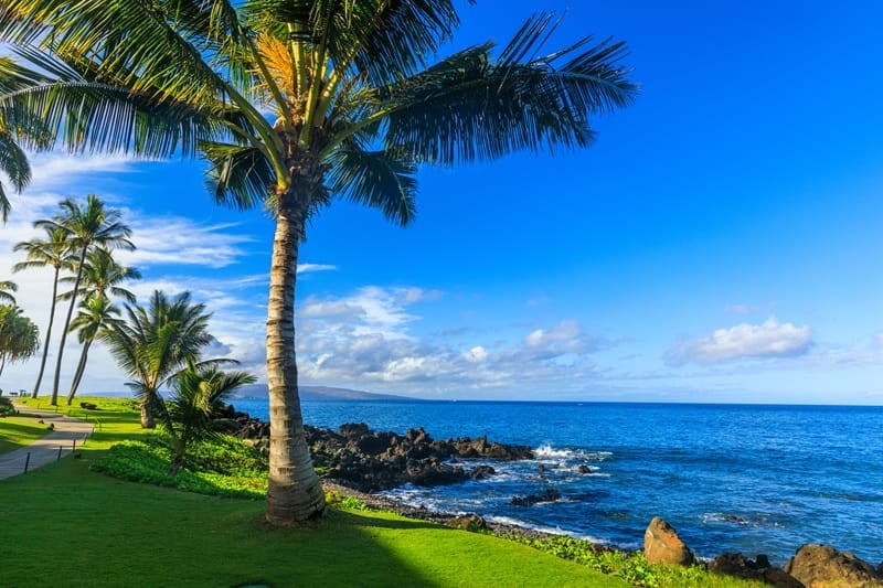 Wailea