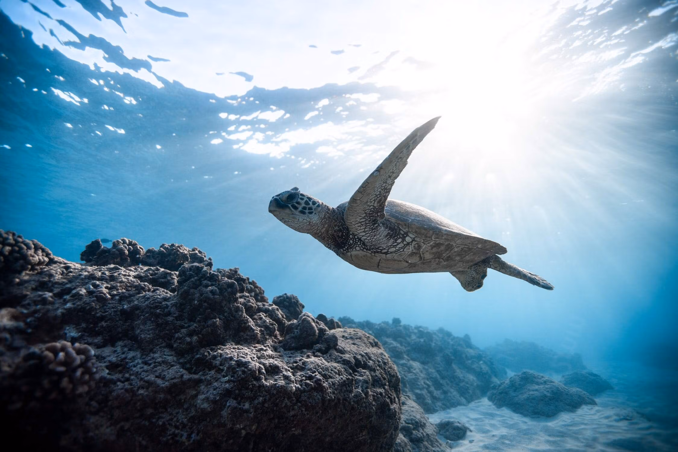 Maui Tour Packages