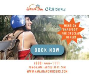 Hawaiian Cruisers