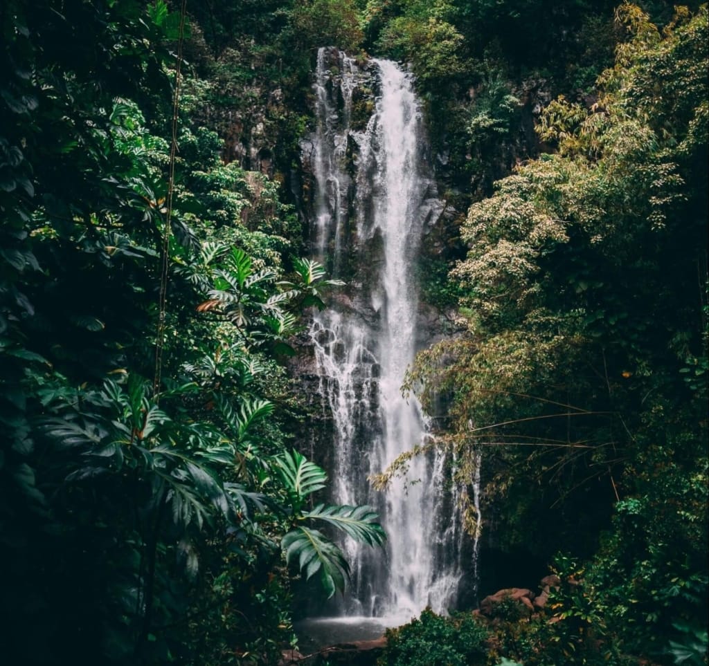 Maui Waterfall