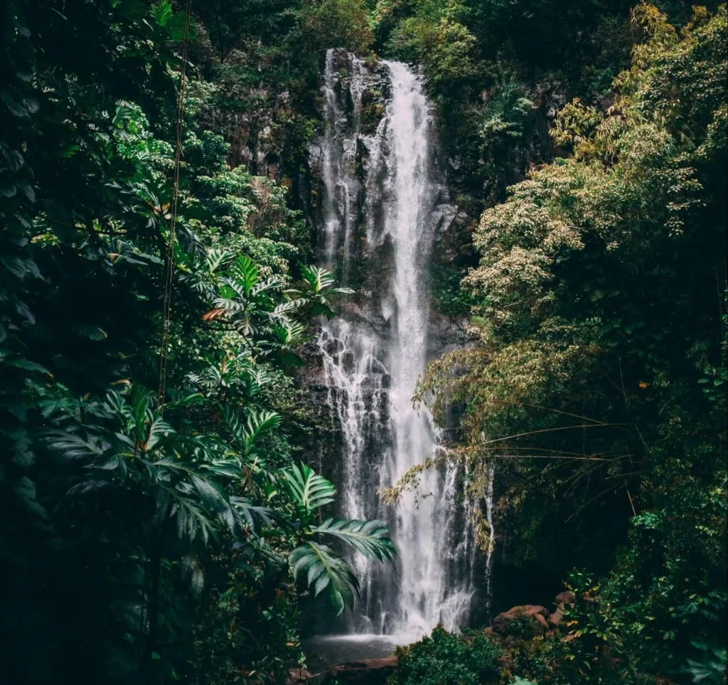 Cascada de Maui