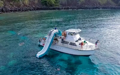 Experience the Best Snorkeling in Maui with our 3-Hour Afternoon Snorkeling Tour