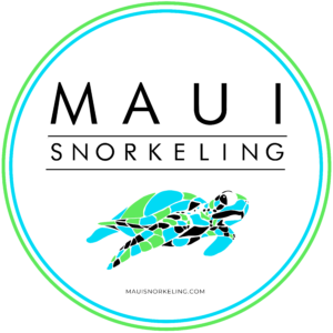 Maui Snorkeling logo