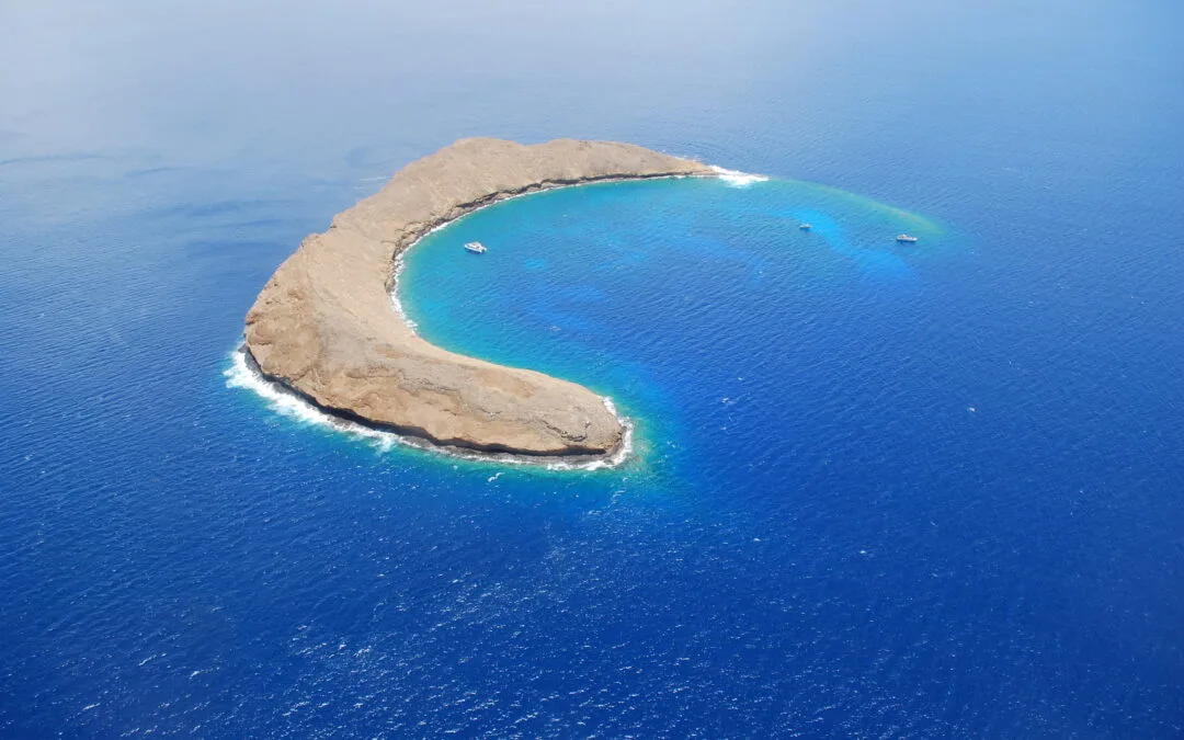 Molokini Snorkeling: A Dive into an Aquatic Wonderland