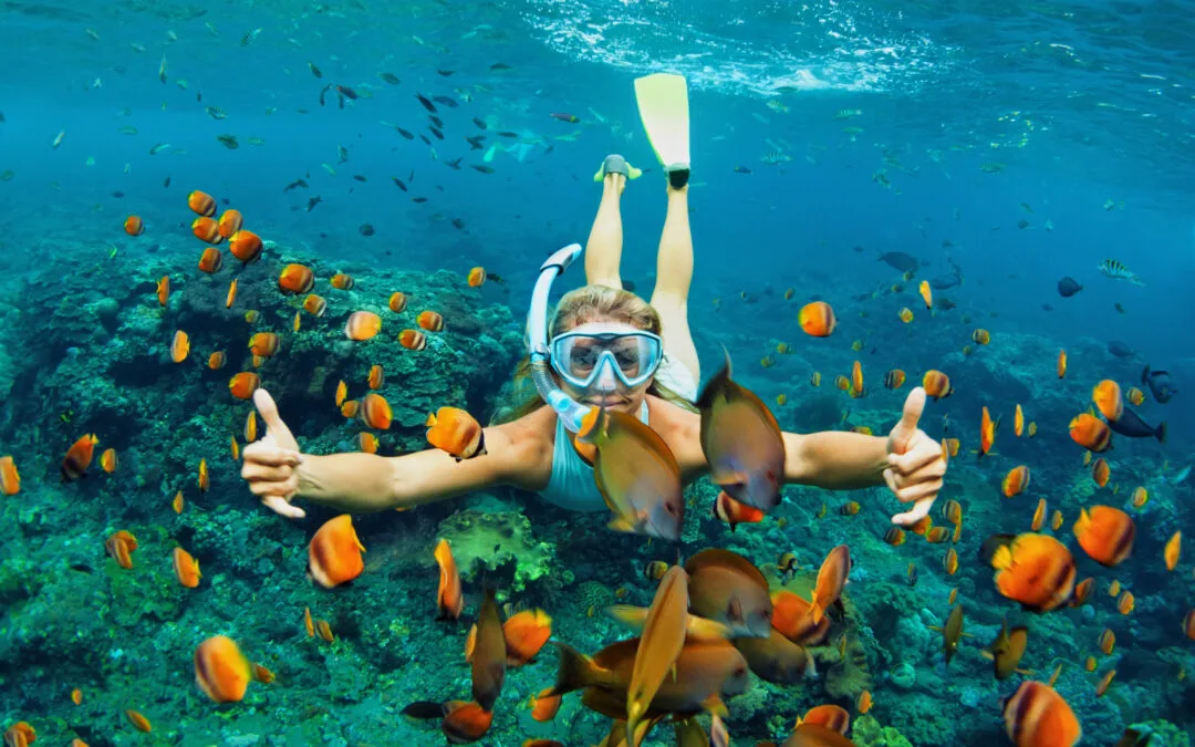 Snorkeling Maui: An Underwater Rainbow of Tropical Fish