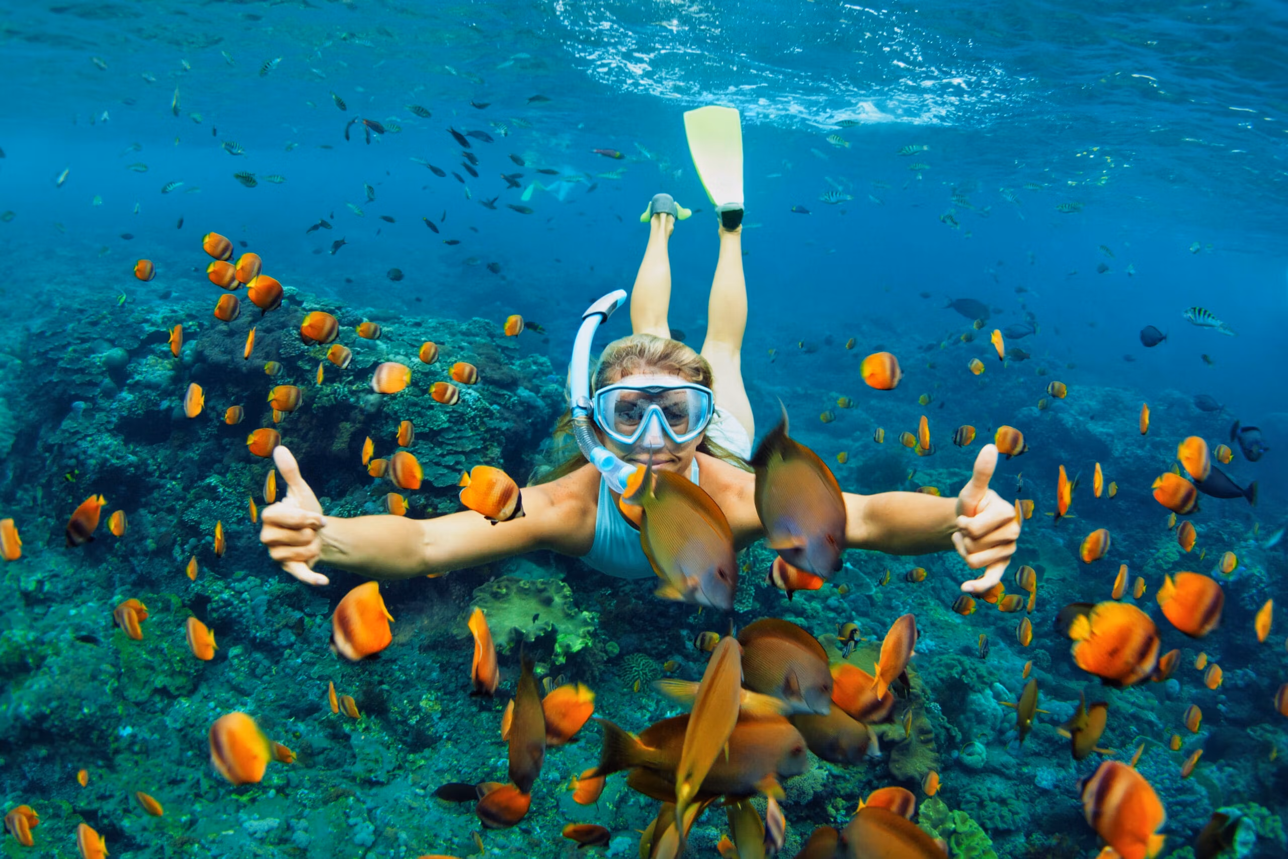 Snorkel en el cráter Molokini