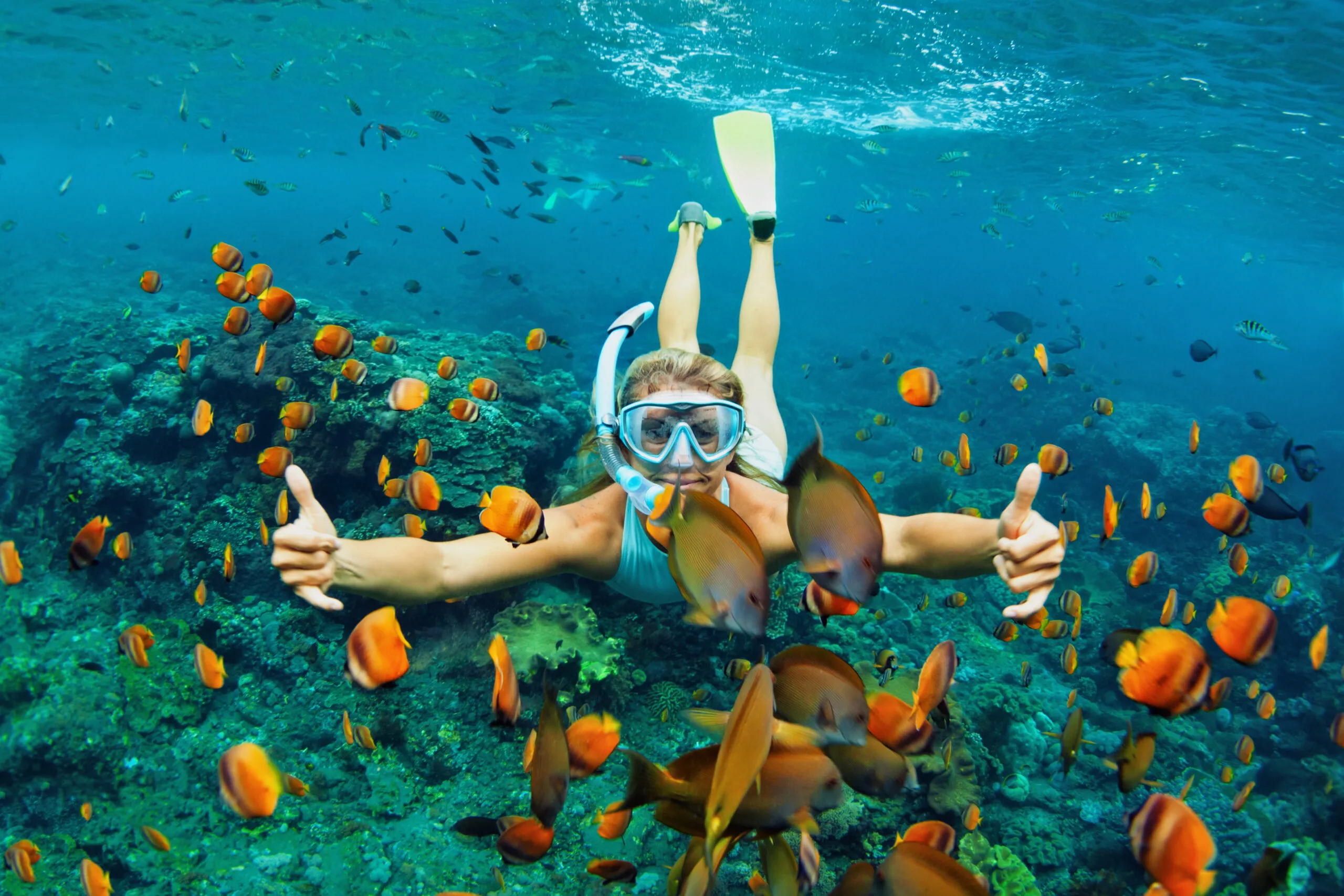 Molokini Crater Snorkeling