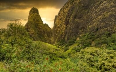 Iao Valley State Park: Besucherleitfaden + Reservierungen