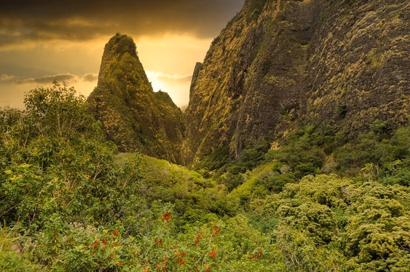 Iao Valley State Park