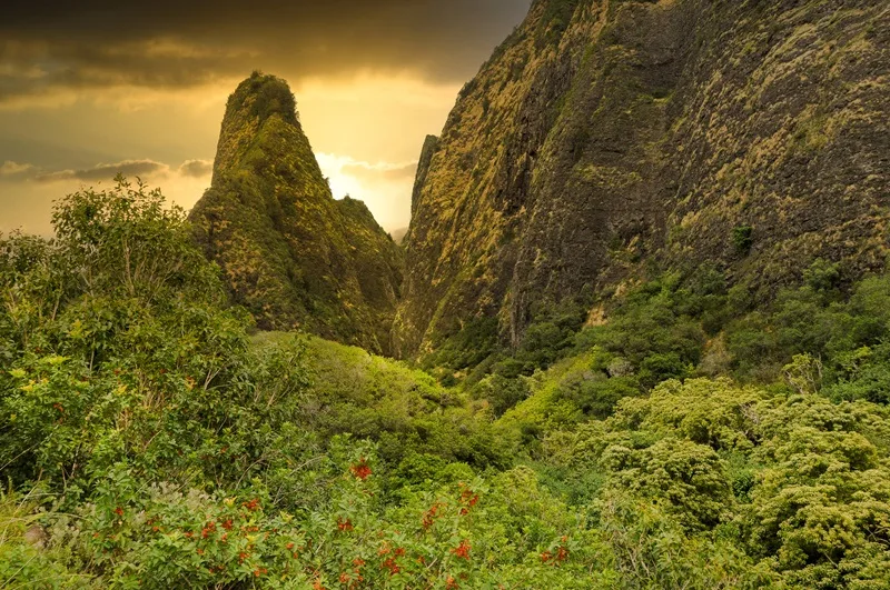 Iao Valley State Park