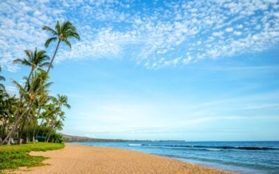 The 8 Best Beaches in Maui: A Paradise for Every Beach Lover (Part 1)