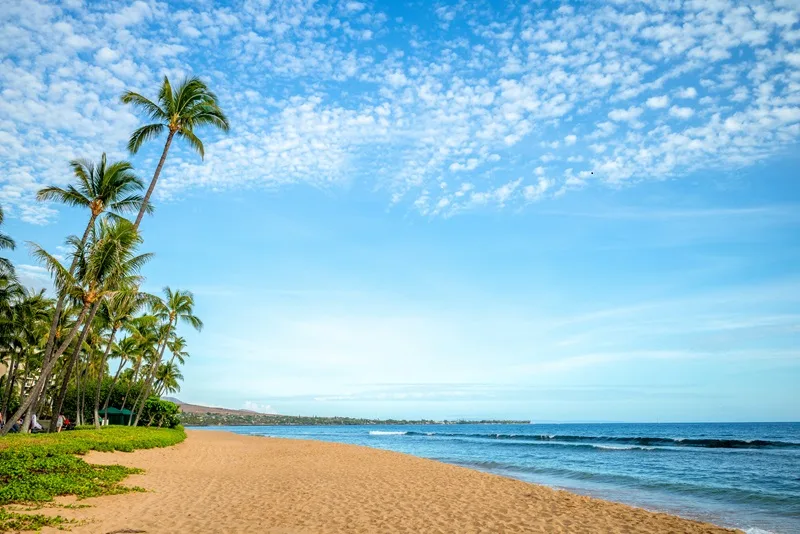 The 8 Best Beaches in Maui: A Paradise for Every Beach Lover (Part 1)