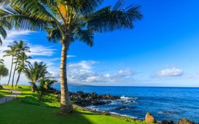The 8 Best Beaches in Maui (Part 2)