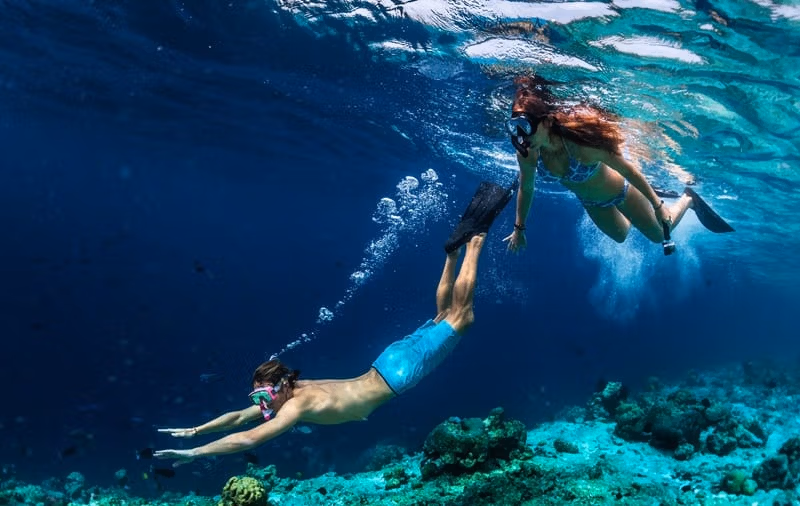 Snorkeling in Maui