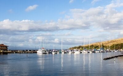 Maalaea Harbor: Set Sail for Adventure with Maui Snorkeling
