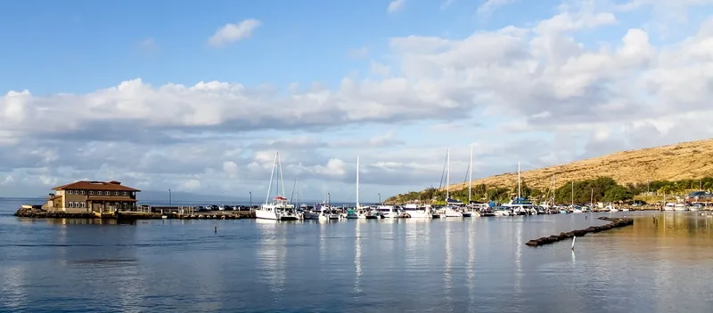 Maalaea Harbor: Set Sail for Adventure with Maui Snorkeling