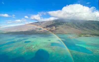 The 5 Best Helicopter Tours in Maui