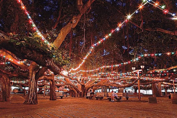 Iluminación del árbol de Banyan