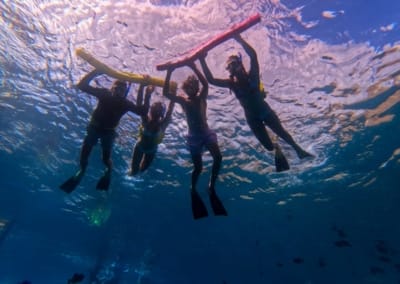 floating with maui snorkeling