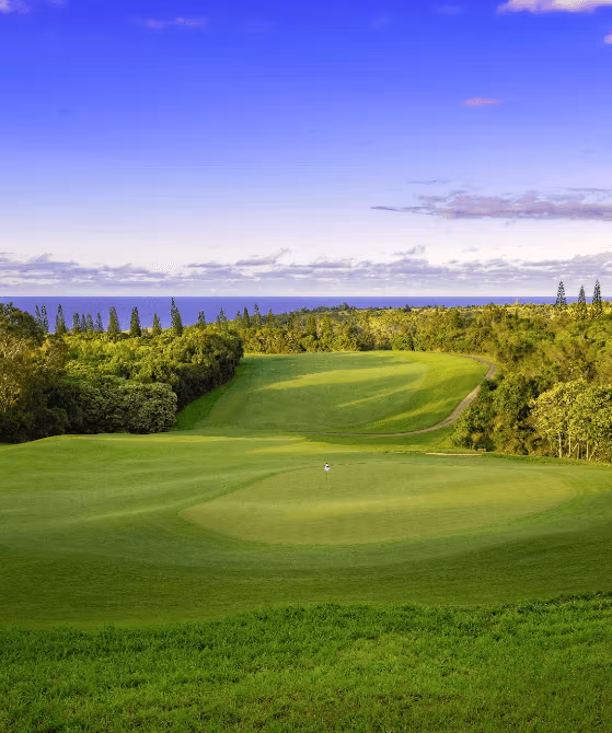 Plantation Course at Kapalua