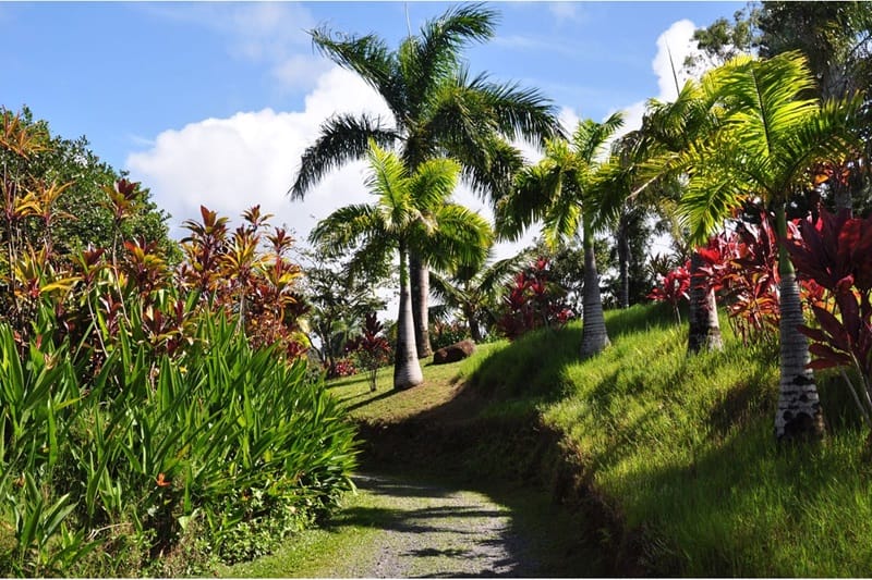 garden of eden arboretum<br />
