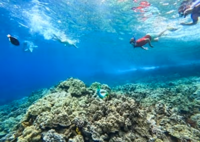 Snorkel en Maui