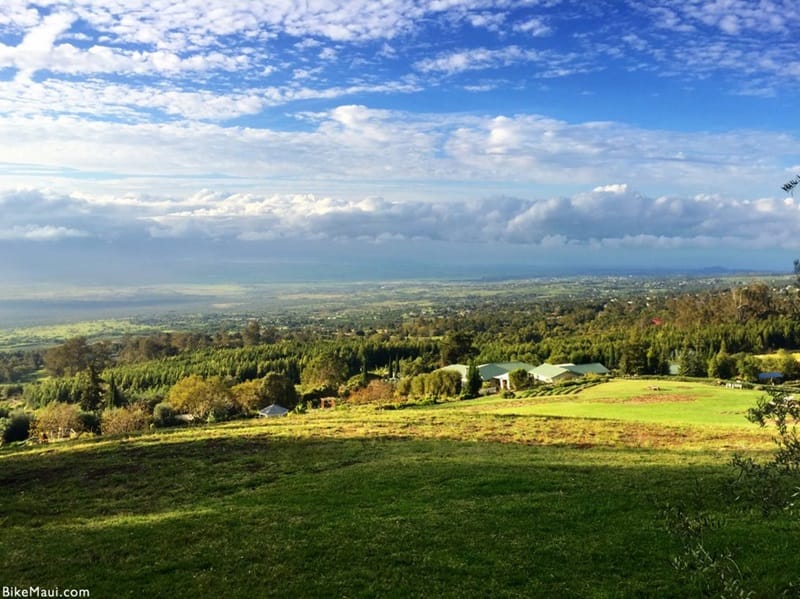 Polipoli Spring State Recreation Area