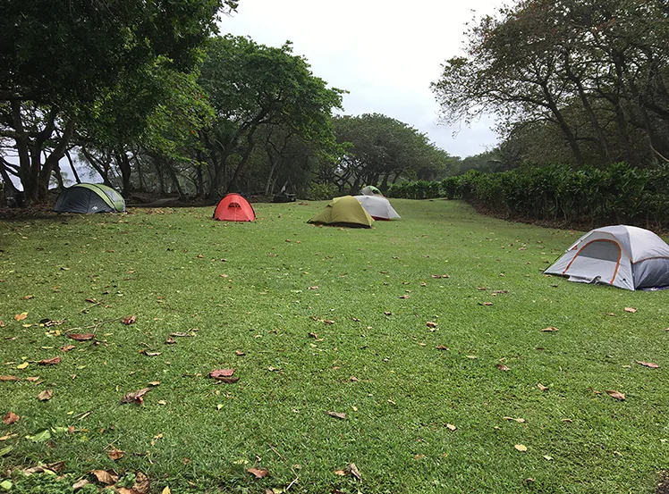 ワイアナパナパ州立公園