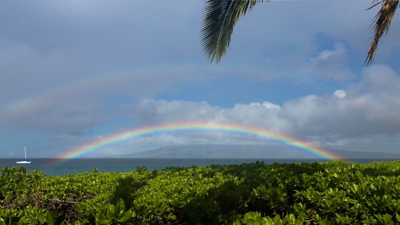 Best Time To Visit Maui