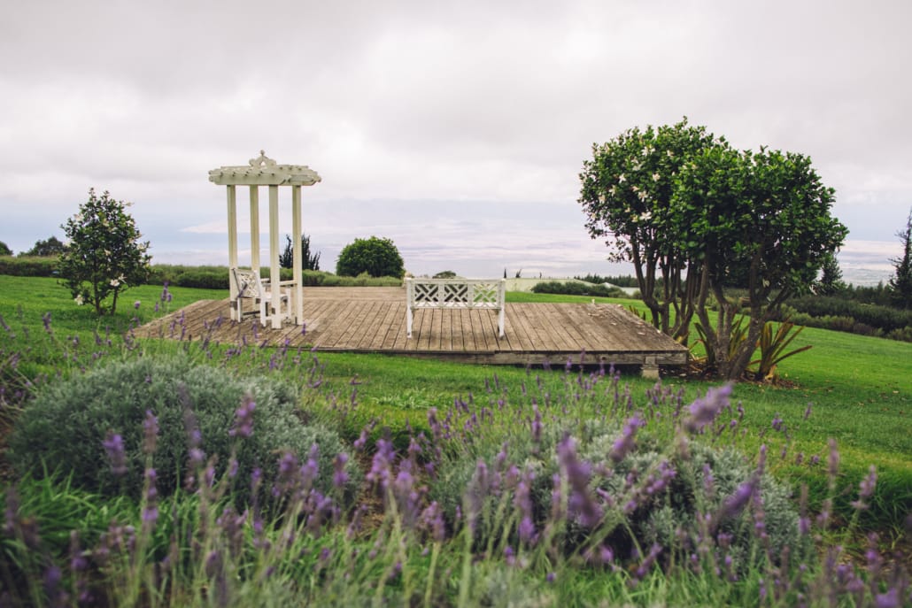 ali'i kula lavender farm