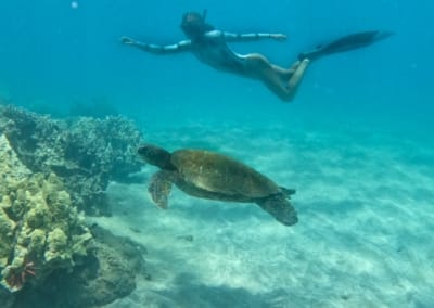 Maui Snorkeling