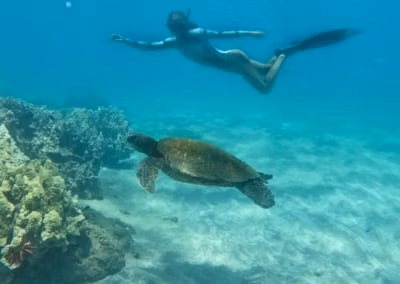 Snorkel en Maui