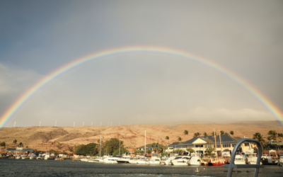 Maui im Dezember: Ein tropisches Winterwunderland