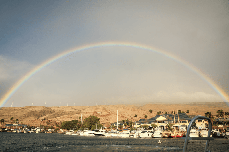 December in Maui