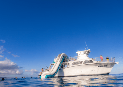 maui snorkeling tours