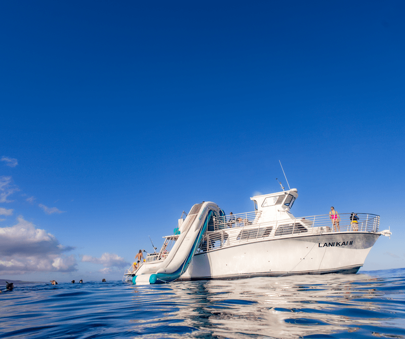 maui snorkeling tours