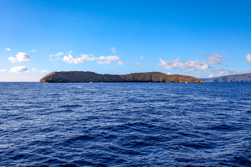 Snorkel en el cráter Molokini