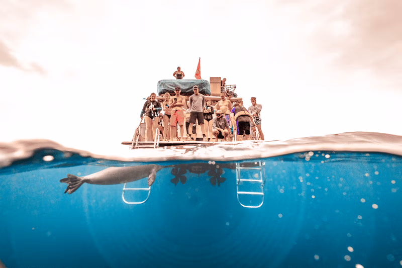 Charters privados de snorkel en Maui