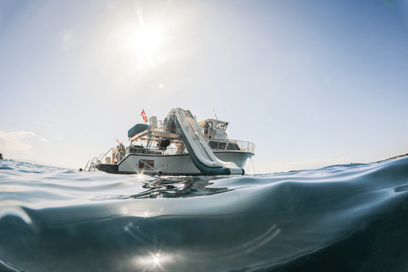 Maui Snorkeling Lani Kai II