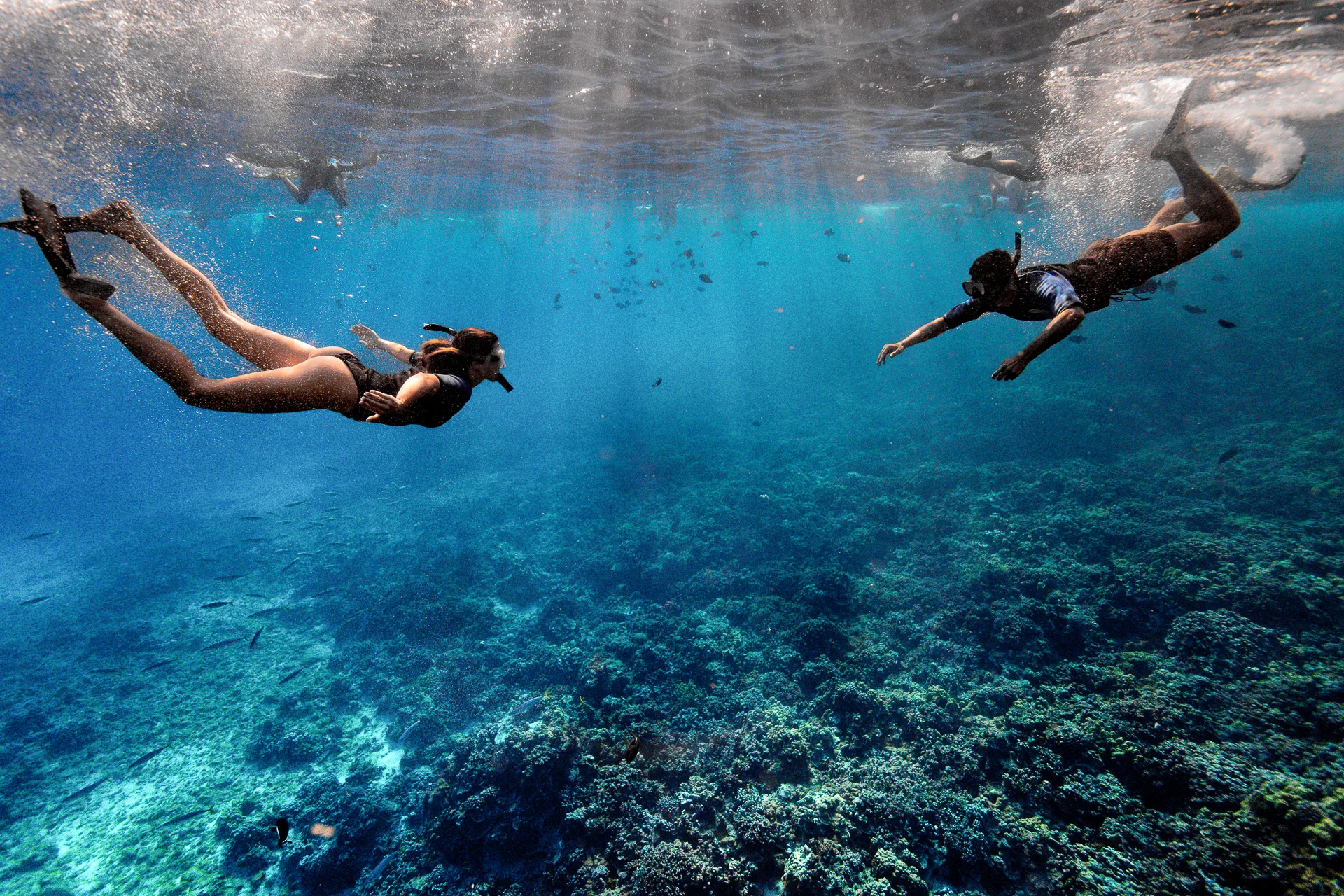 Schnorcheln im Molokini-Krater