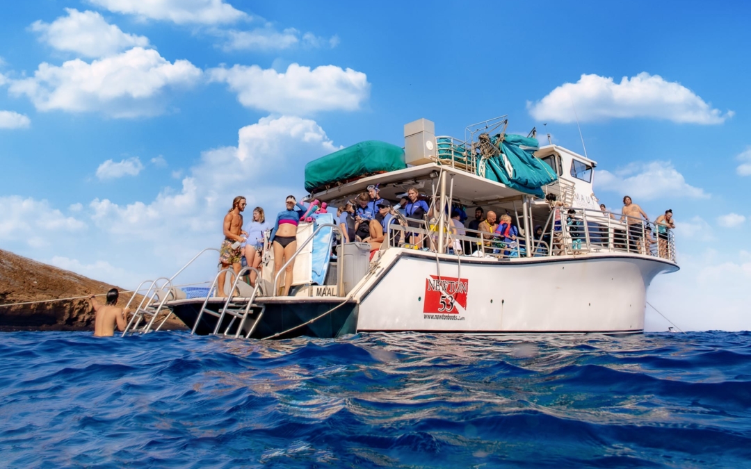 Experimente el mejor snorkeling en Maui con nuestro tour de snorkeling de 3 horas por la tarde