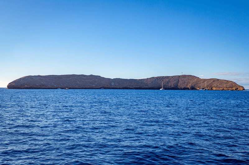 best places to snorkel in maui