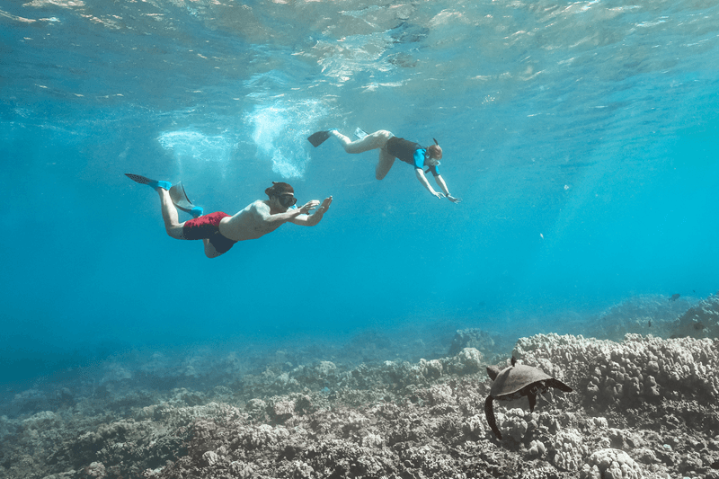 Sumérgete en el paraíso: descubre los mejores lugares para hacer snorkel en Maui