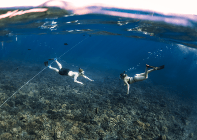 maui afternoon snorkeling