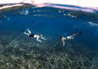 Snorkel por la tarde en Maui