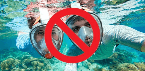 things you should never do when snorkeling in maui