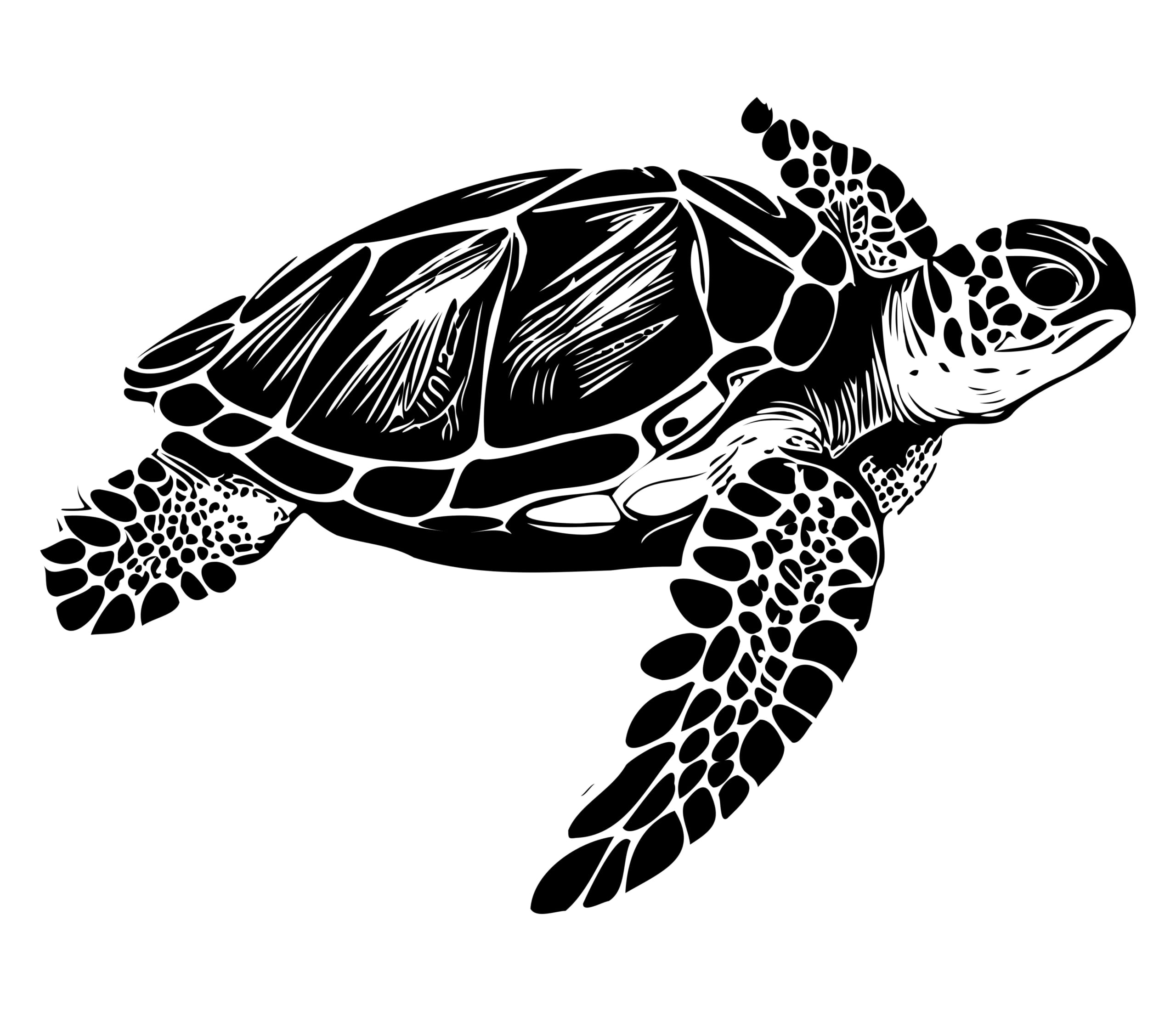 sea turtle icon