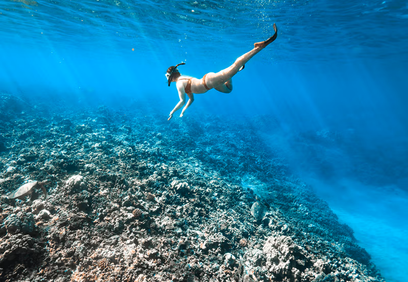 Schnorcheln auf Maui Schnorcheln auf Maui