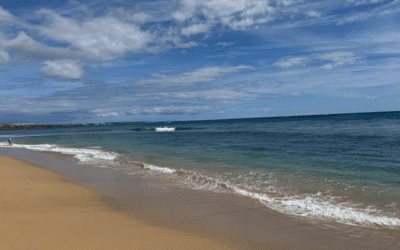 カアナパリ ビーチ マウイ ガイド 2026: 駐車場、ヒント、シュノーケリング